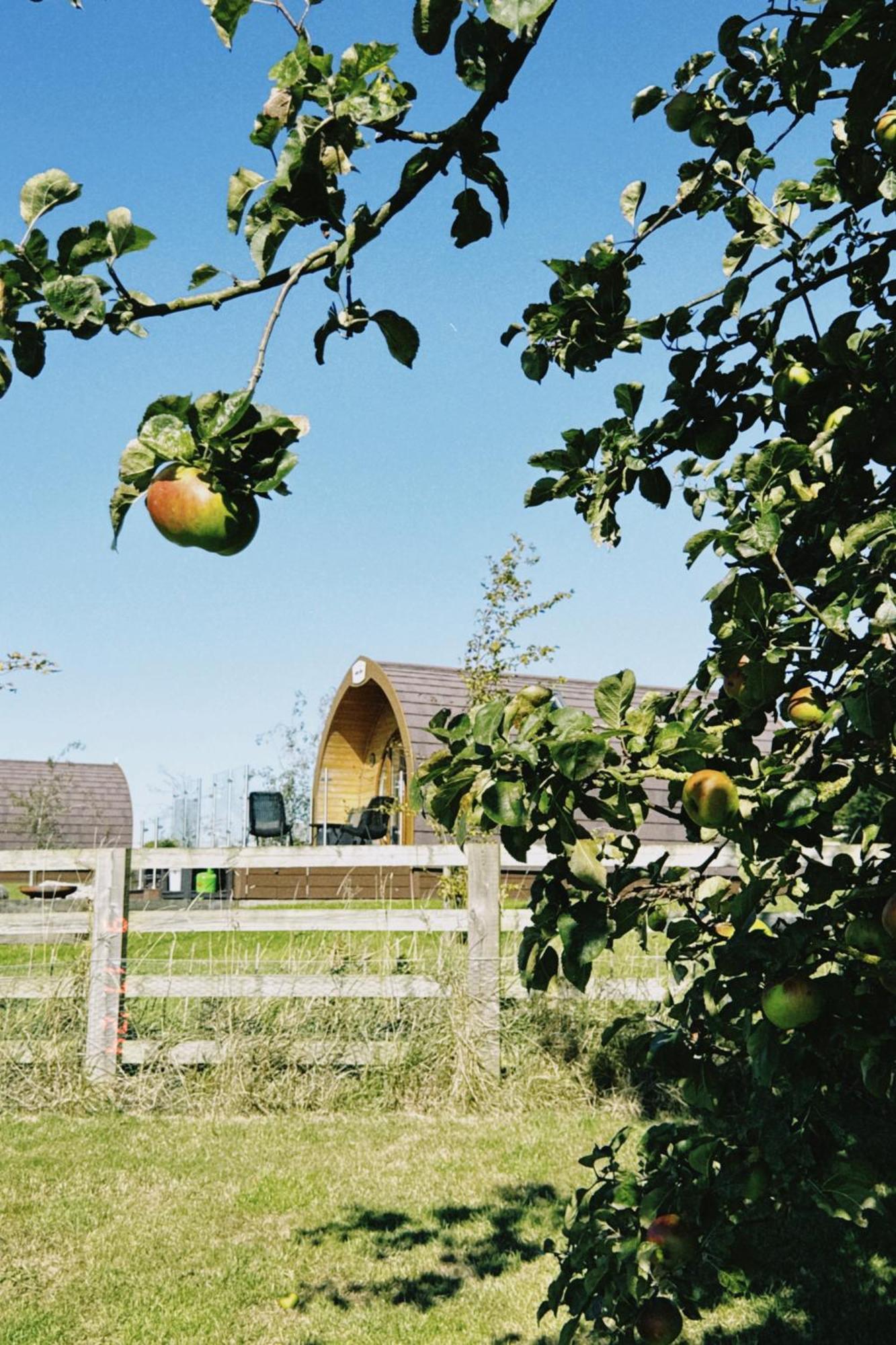 Villa Mingle Dale- Bugthorpe Grange Glamping Stamford Bridge Exterior foto